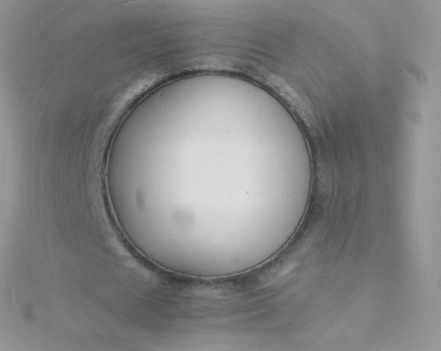 X0000115840625200911271221