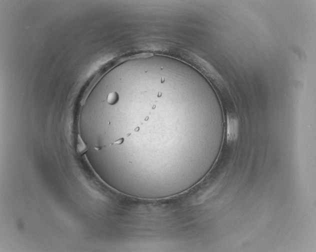 X0000115840627200911271221