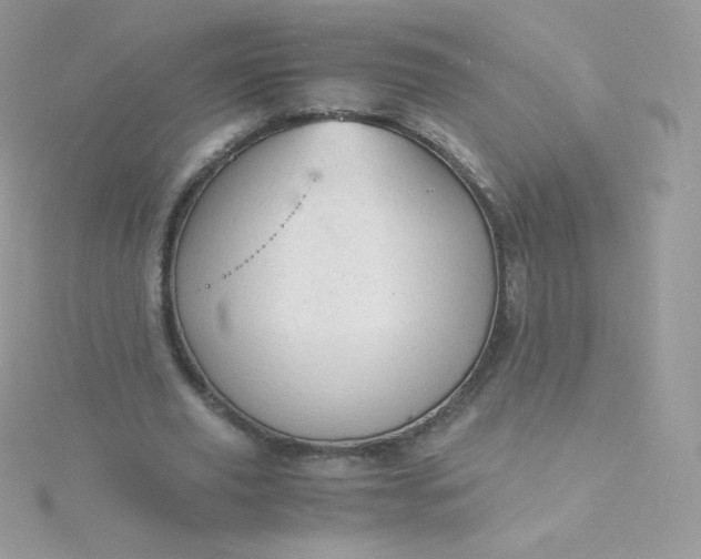 X0000115840629200911271221