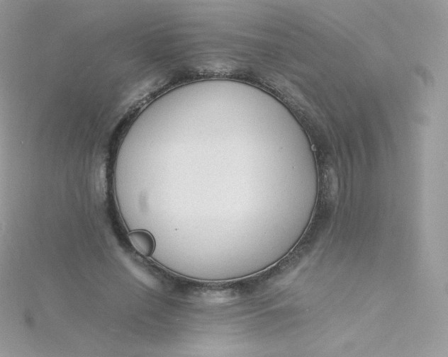 X0000115840638200911271221