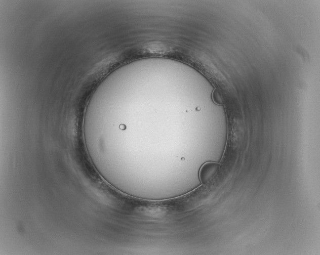 X0000115840639200911271221