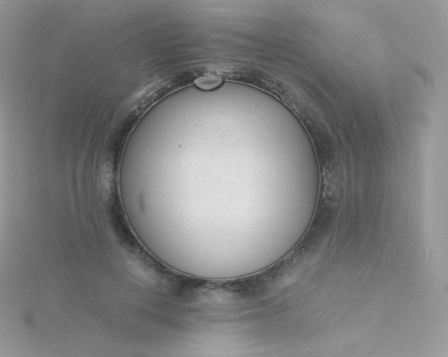 X0000115840648200911271221