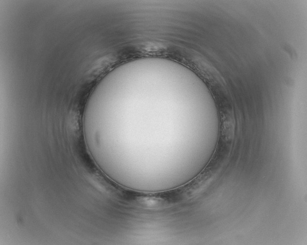 X0000115840654200911271222