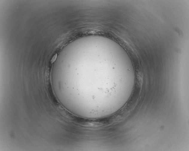 X0000115840657200911271222