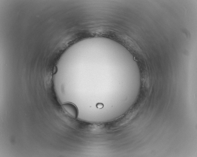 X0000115840660200911271222