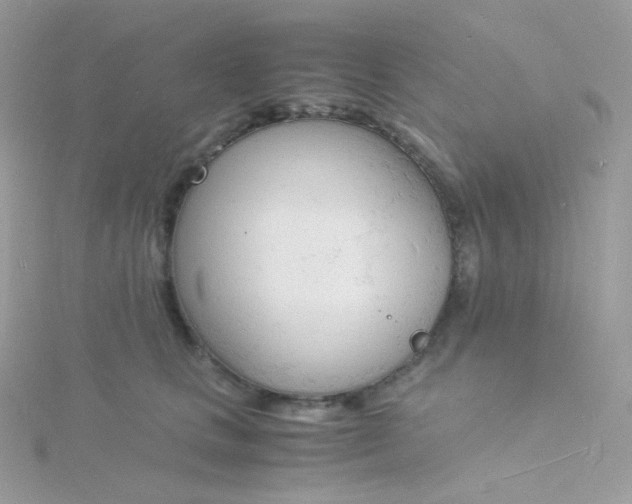 X0000115840661200911271222