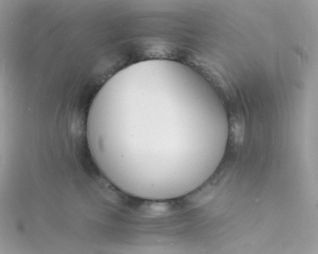 X0000115840665200911271222