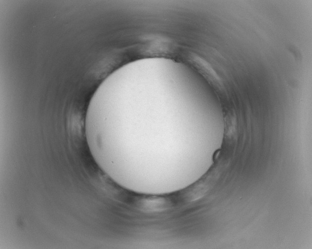 X0000115840669200911271222