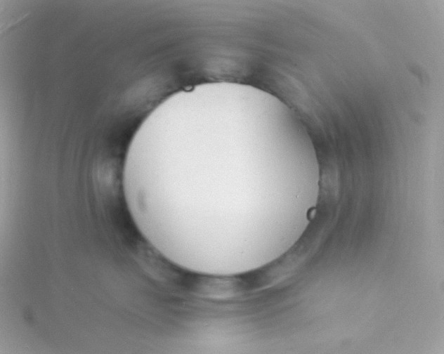 X0000115840671200911271222