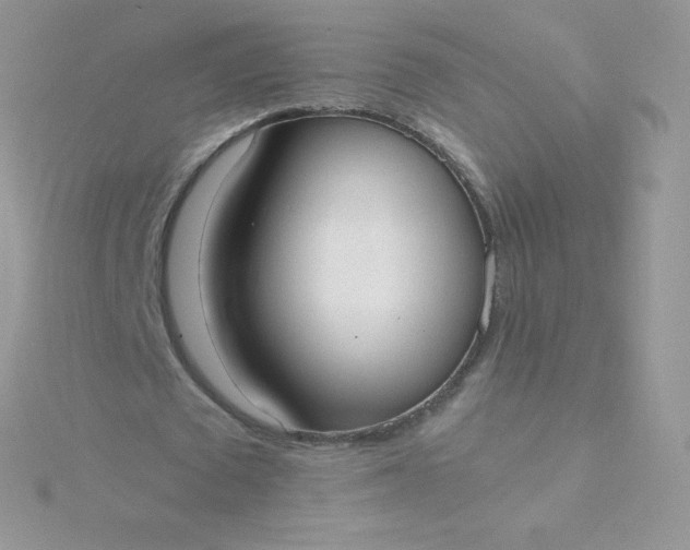 X0000115840673200911271221