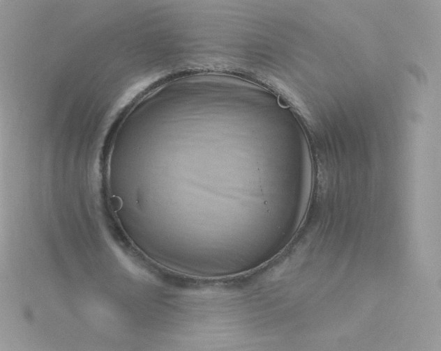 X0000115840674200911271221