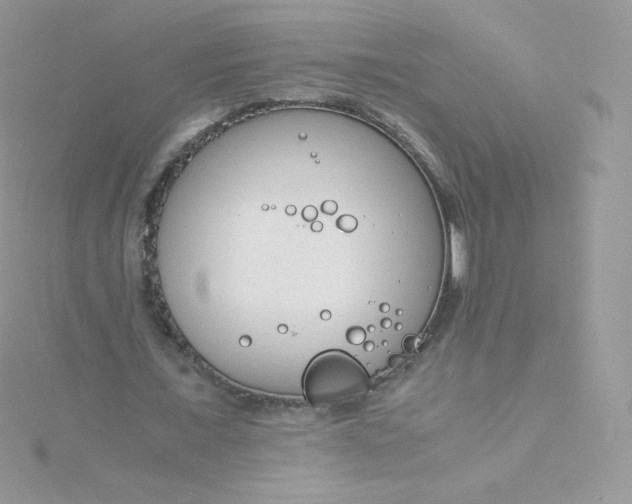 X0000115840675200911271221