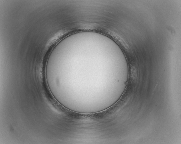 X0000115840682200911271221