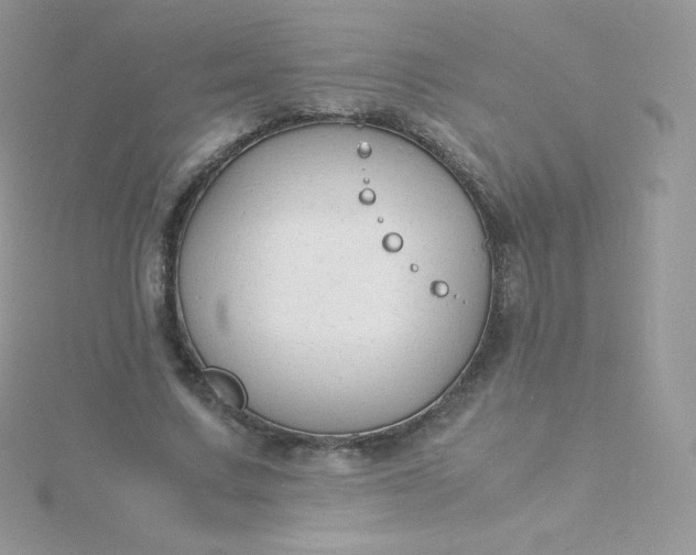 X0000115840683200911271221