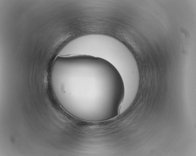 X0000115840692200911271221