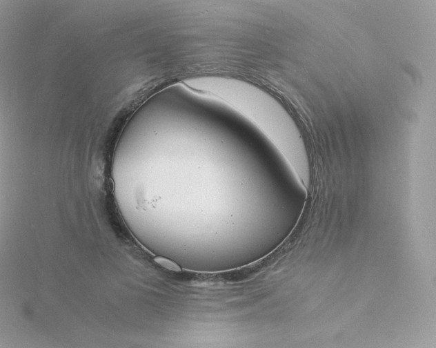 X0000115840693200911271221