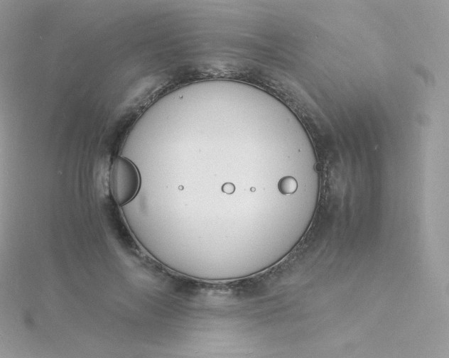 X0000115840694200911271221