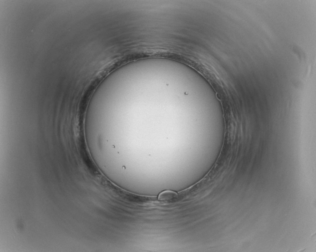 X0000115840700200911271221