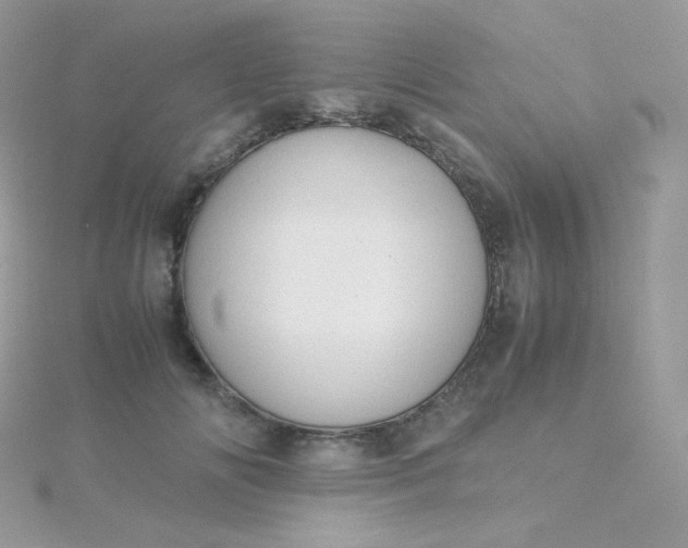 X0000115840702200911271221