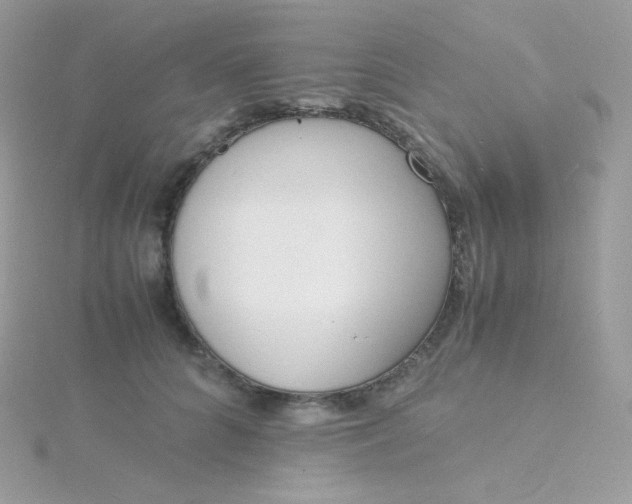 X0000115840704200911271221