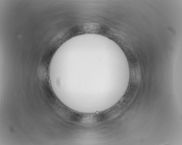 X0000115840705200911271221