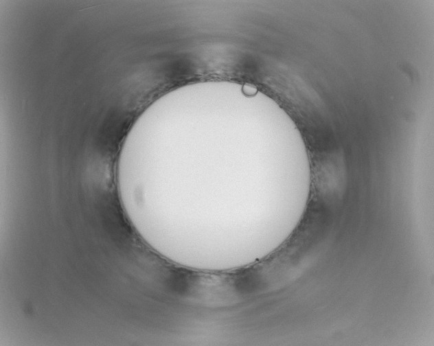 X0000115840709200911271221