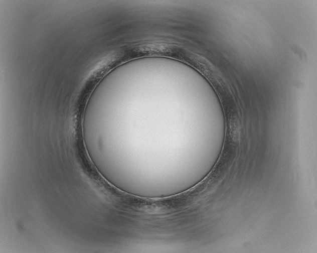 X0000115840735200911271220