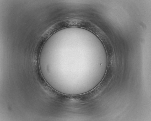 X0000115840737200911271220