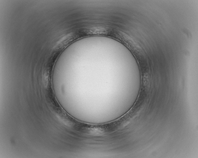 X0000115840741200911271220