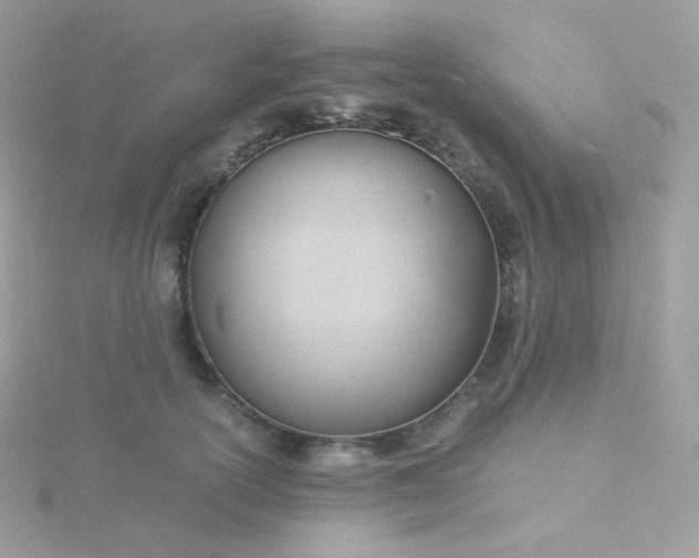 X0000115840754200911271220