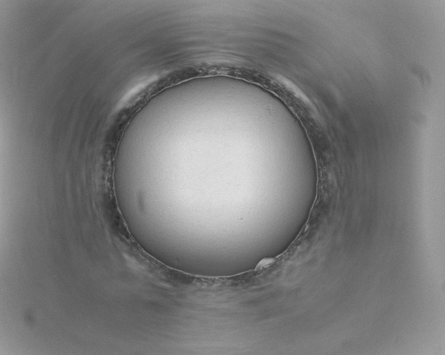 X0000115840775200911271220