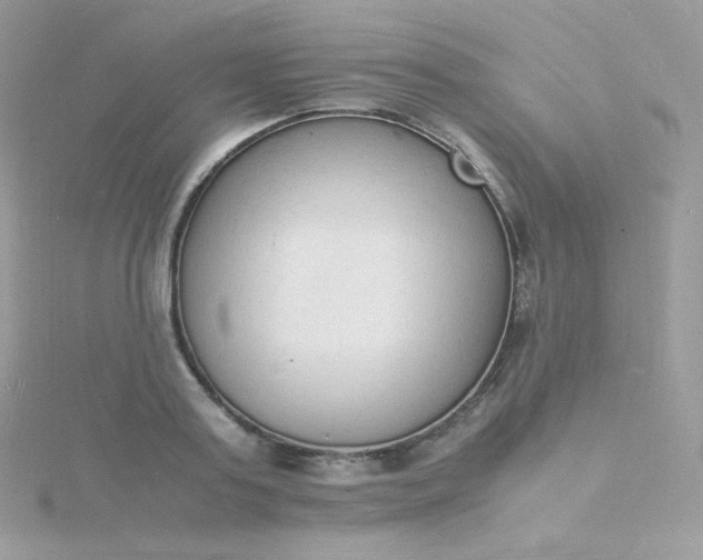 X0000115840795200911271219