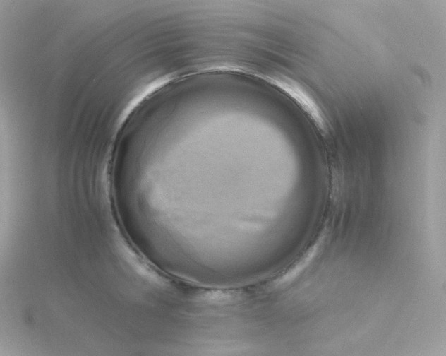 X0000115840806200911271219