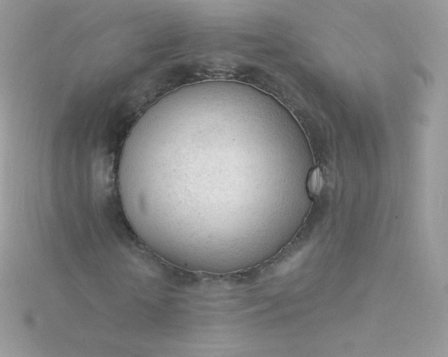 X0000115840818200911271218