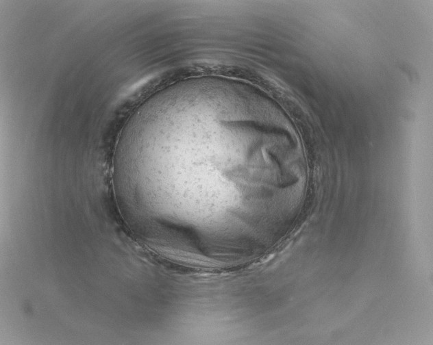 X0000115840822200911271218