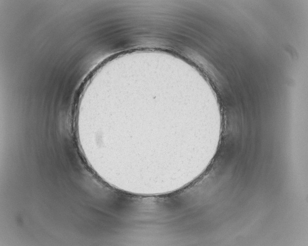 X0000115840828200911271218