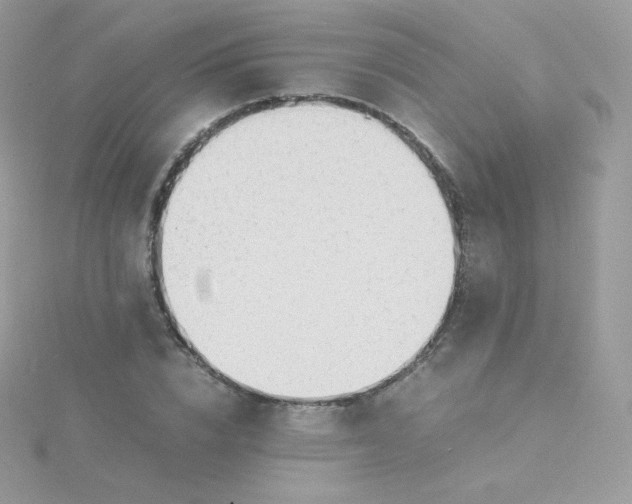 X0000115840832200911271218