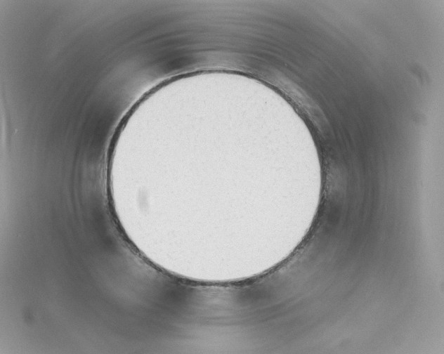 X0000115840836200911271218