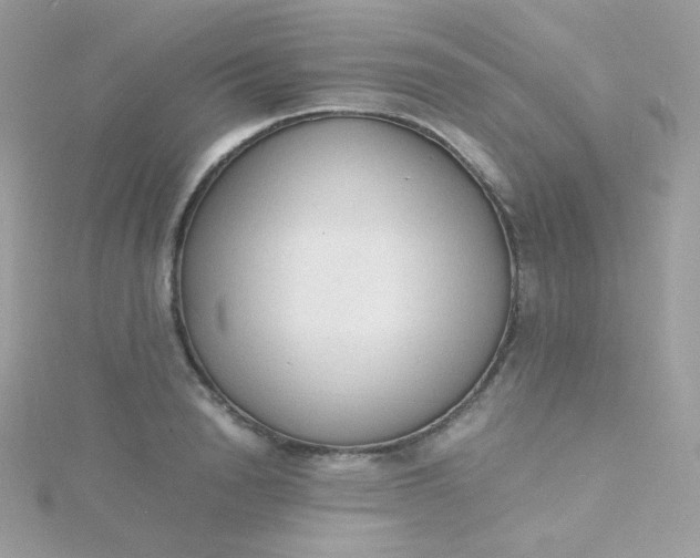 X0000115840846200911271219