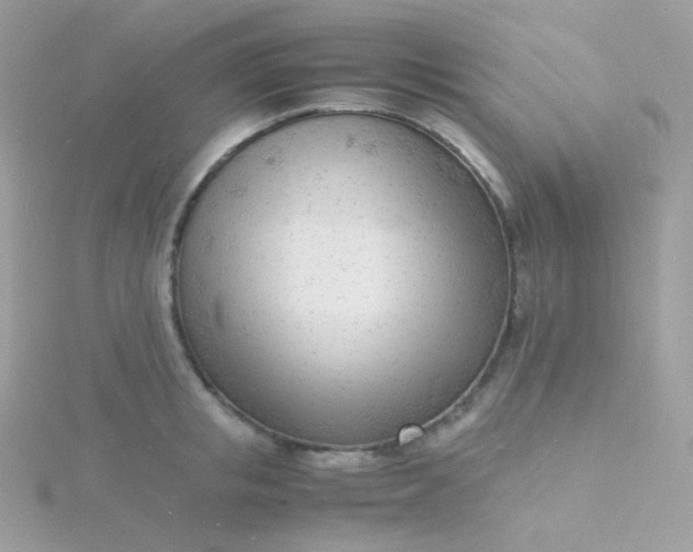 X0000115840853200911271219