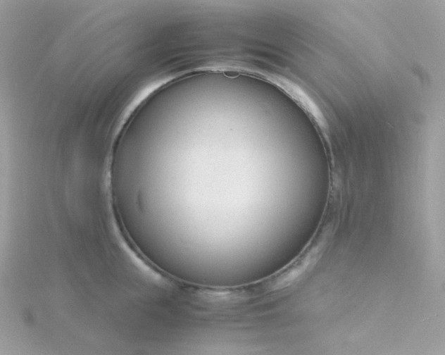 X0000115840855200911271219