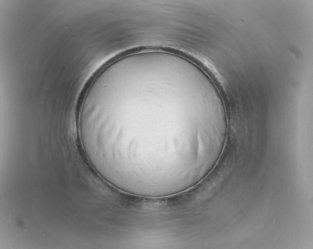 X0000115840887200911271218
