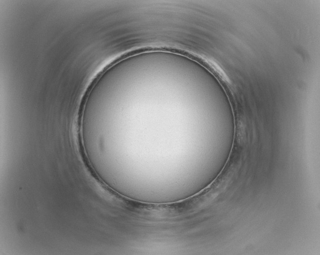 X0000115840895200911271218