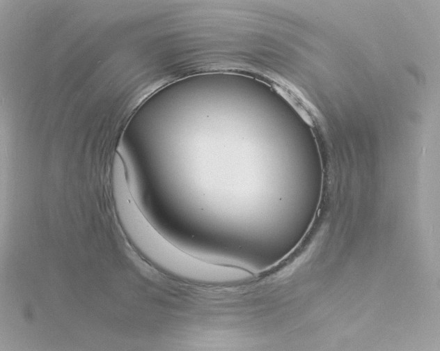 X0000115840897200911271218