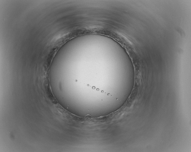 X0000115840917200911271217