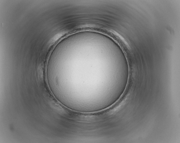 X0000115840921200911271217