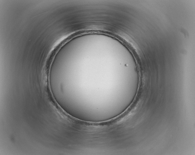 X0000115840925200911271217