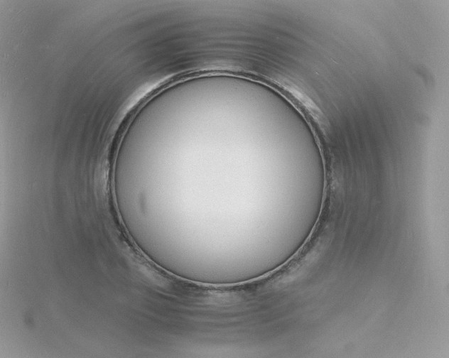 X0000115840933200911271217