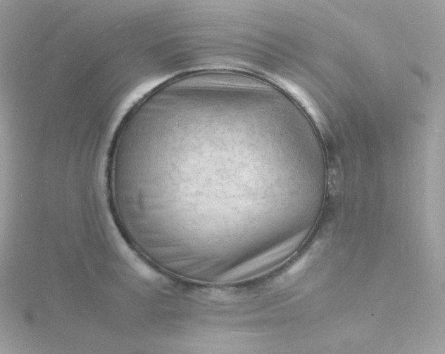 X0000115840995200911271217