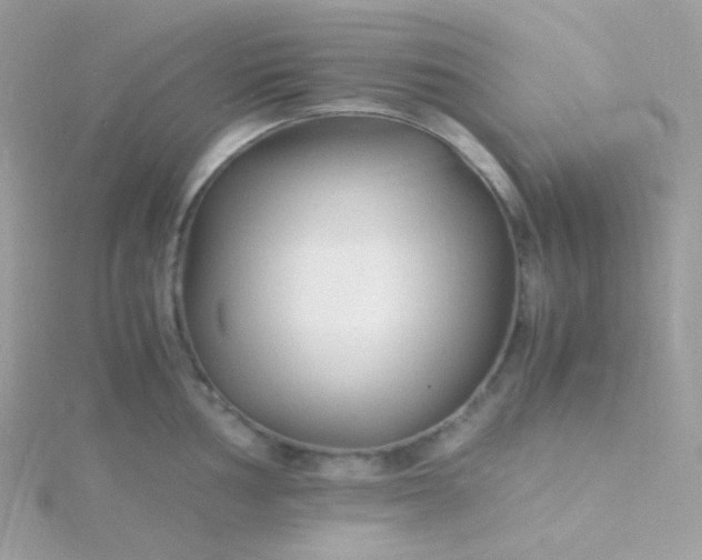 X0000115841002200911271216